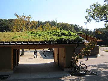 里山の家12年10月21日
