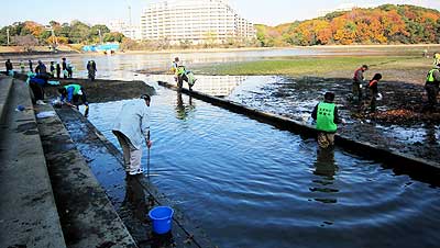 タモを使って水路ですくう(猫池干し12年12月8日)