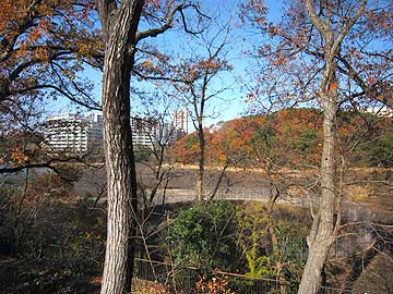 猫ヶ洞池12年12月16日