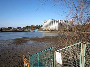 水の引いた猫ヶ洞池12年12月16日