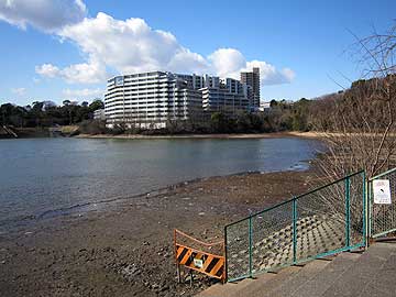 2月8日現在の猫ヶ洞池の様子