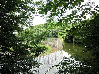 猫ヶ洞池15年7月19日