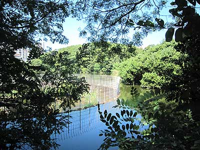 猫ヶ洞池15年9月20日