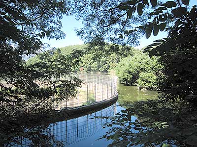 猫ヶ洞池15年10月18日