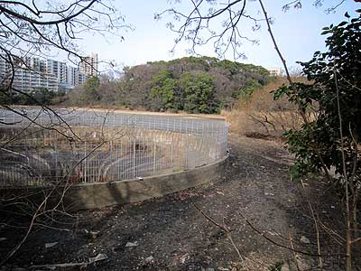 猫ヶ洞池16年1月17日