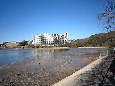 猫ヶ洞池16年2月19日