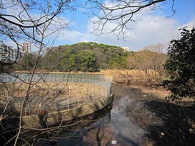猫ヶ洞池16年2月21日