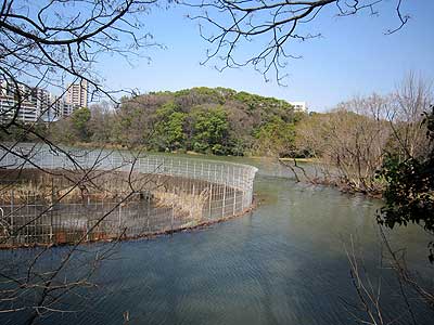 猫ヶ洞池16年3月20日