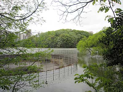 猫ヶ洞池16年4月17日