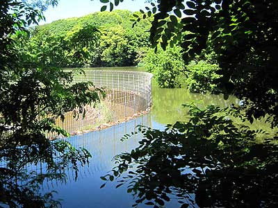 猫ヶ洞池16年5月12日