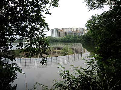 猫ヶ洞池16年6月19日