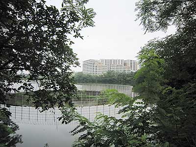 猫ヶ洞池16年7月17日