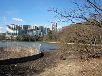 猫ヶ洞池17年2月19日