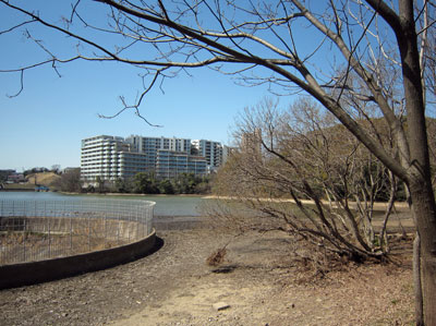 猫ヶ洞池17年3月16日