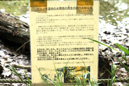 「ハンノキ湿地再生活動開始」を知らせる看板17年5月16日