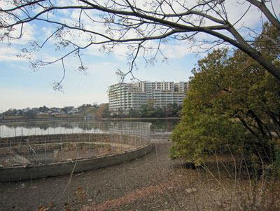 猫ヶ洞池17年12月10日