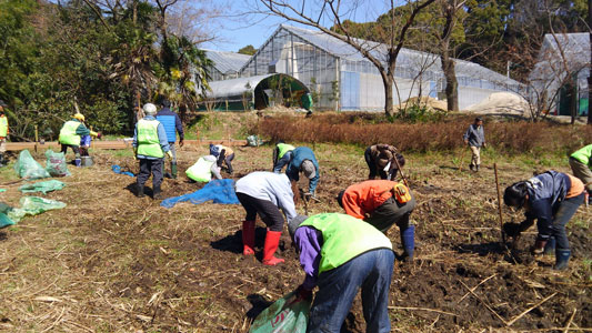 猫ヨシ原再生_活動中18年3月10日