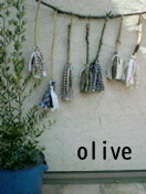 2009052406570000.jpg