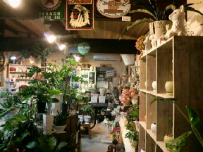 2009070519060000.jpg
