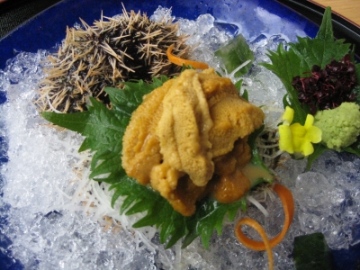 白髭ウニ.jpg