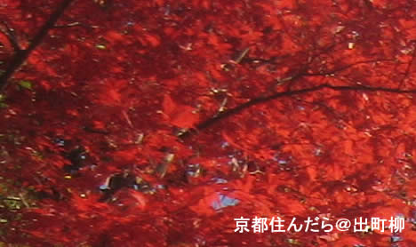 京都 紅葉