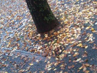 20121114_234404.jpg