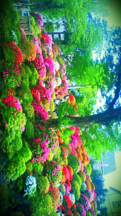 DSC00035.jpg