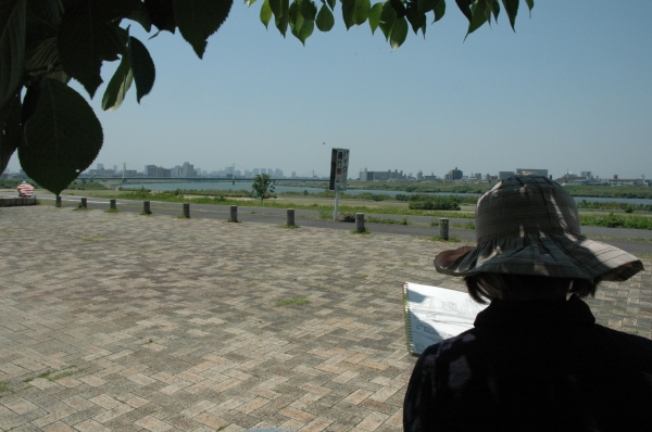 15e_1061.JPG