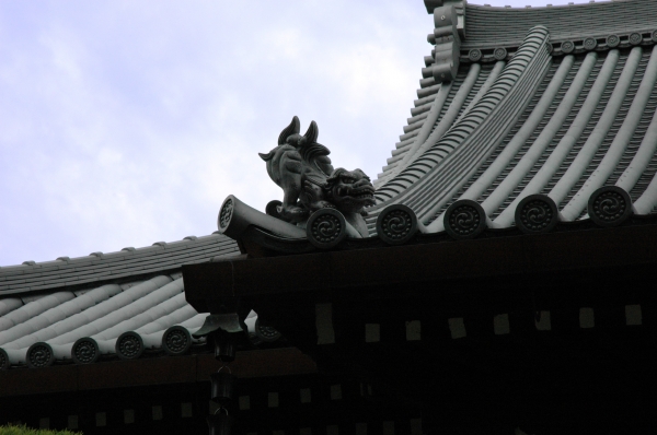 16e_1000.jpg