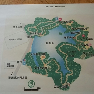 篠栗九大の森