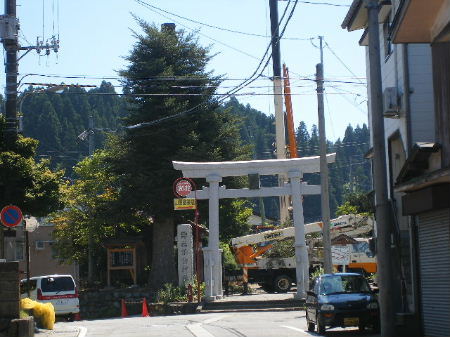 諏訪神社鳥居脇もみの木へ落雷(クレーンで撤去作業中)