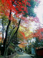 20071202125526.jpg