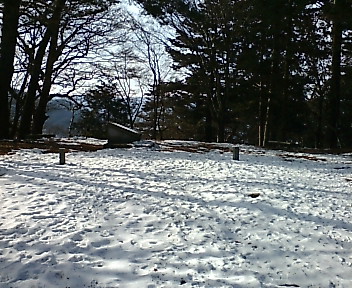 20080119134241.jpg
