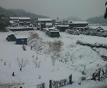 20080209153407.jpg