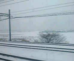 20080209163259.jpg