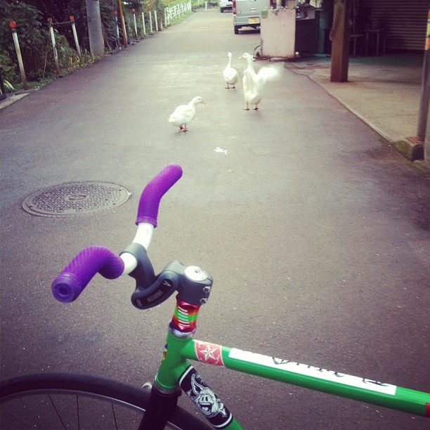 チネリガゼッタ