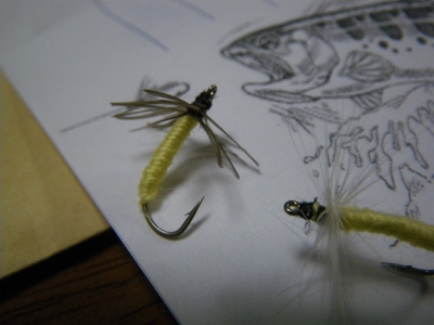 06222010 004.jpg