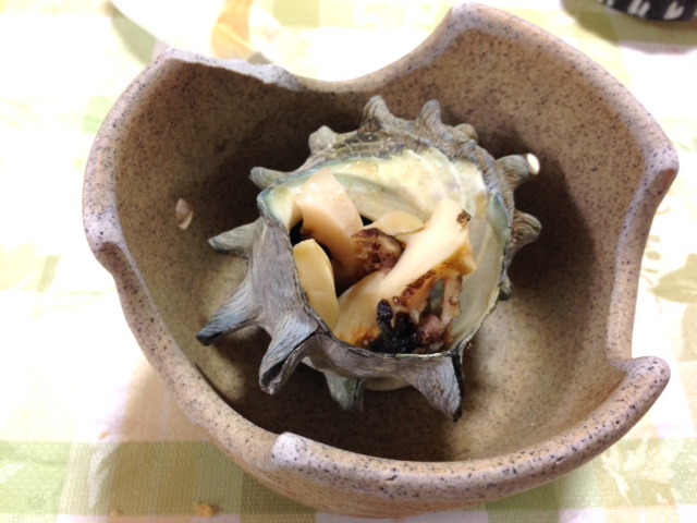 image1.JPG