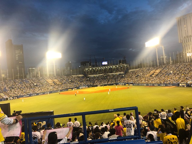 image1.jpeg