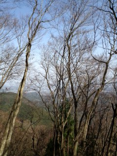 湧山岩