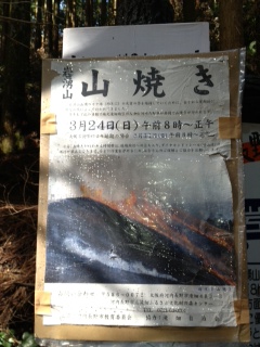 湧山岩