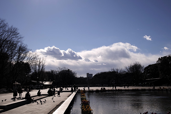 冬の上野公園噴水前広場