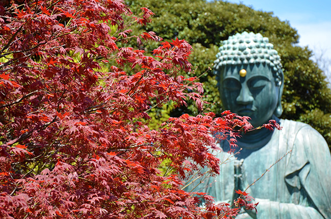 護国山尊重院 天王寺