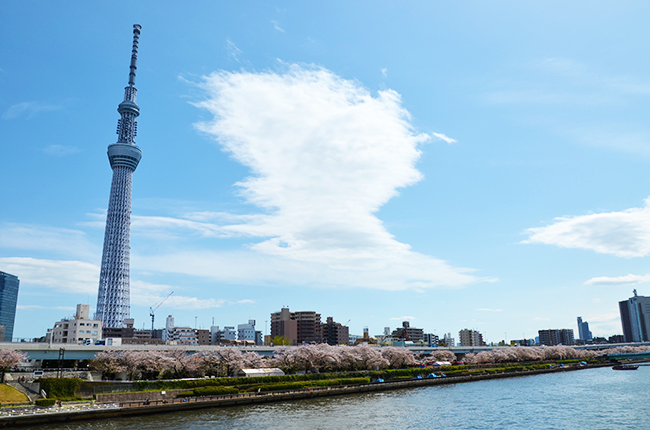 春のうららの東京スカイツリー
