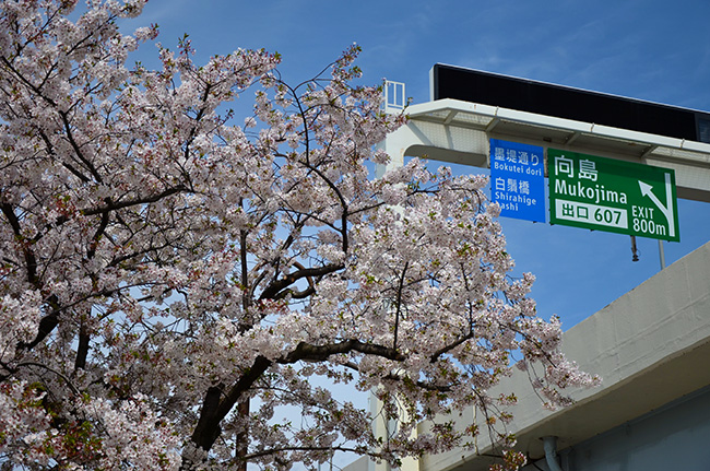 首都高速向島出口