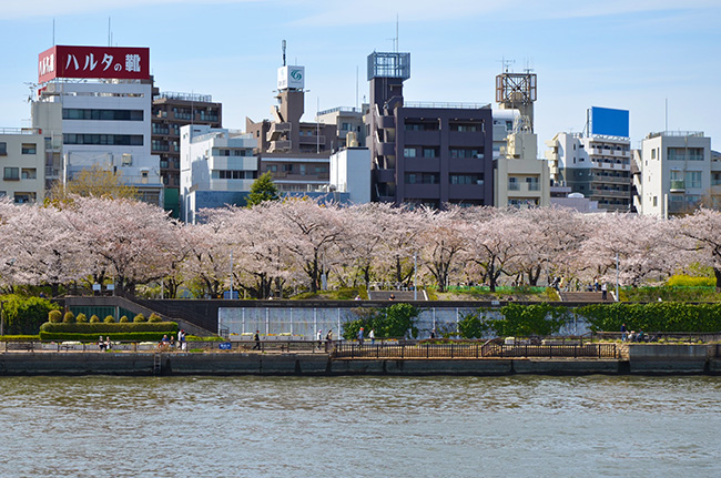 春のうららの隅田川