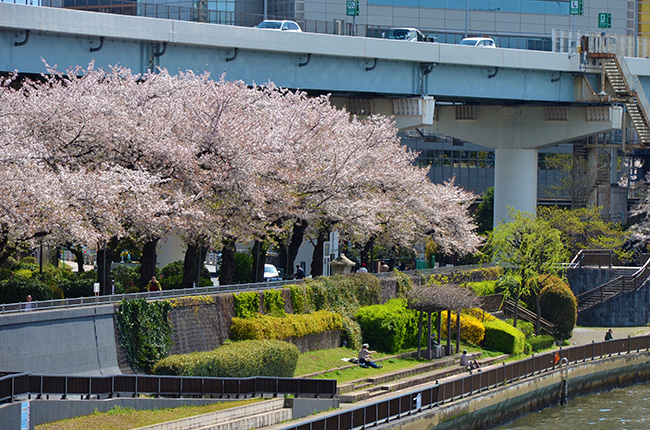 春のうららの隅田川
