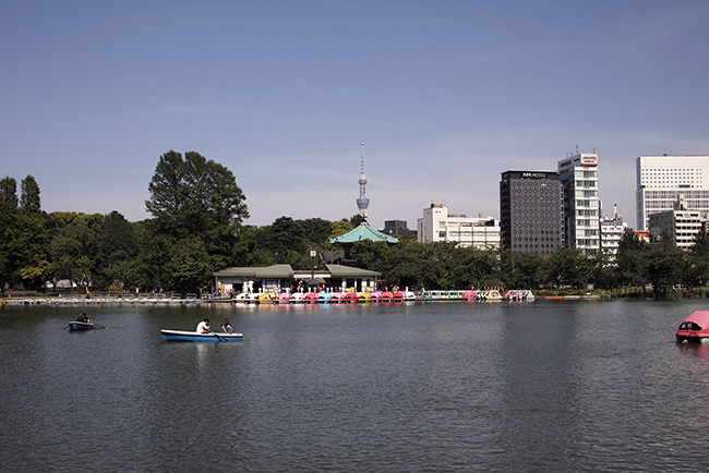 2016年5月18日14時24分/不忍池ボート池