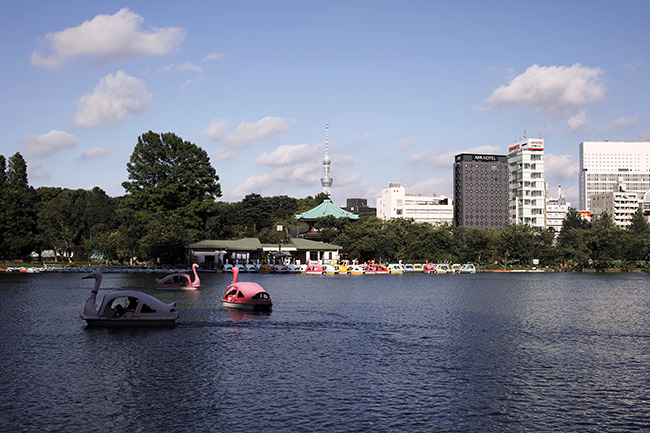 2016年6月23日16時31分/不忍池ボート池