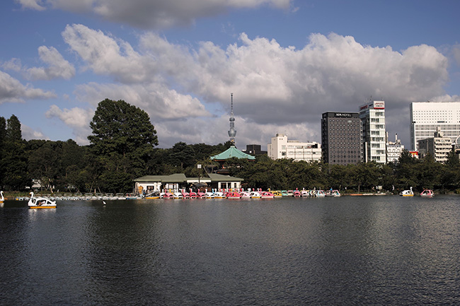 2016年8月29日16時19分/不忍池ボート池
